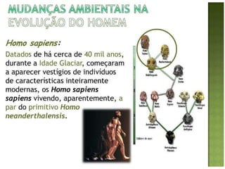 Evolução do homem