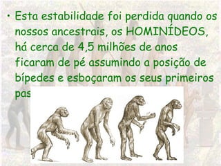 Esta estabilidade foi perdida quando os nossos ancestrais, os HOMINÍDEOS, há cerca de 4,5 milhões de anos ficaram de pé assumindo a posição de bípedes e esboçaram os seus primeiros passos através das florestas. 