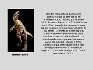 Um dos mais antigos dinossauros carnívoros que se tem notícia foi o Herrerasaurus, (abaixo) que viveu no médio Triássico, há cerca de 220 milhões de anos. Com cerca de 5 m de comprimento, era um dos mais formidáveis predadores de seu tempo. Diferente de outros répteis, o Herrerasaurus caminhava nas patas traseiras, o que permitia a utilização dos membros dianteiros para outras tarefas, como por exemplo, agarrar a presa. Acredita-se que dinossauros como esse conseguiam controlar a temperatura corporal, o que trazia vantagens em relação a outros carnívoros. Herrerasaurus  