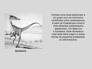 Animais como esse pertenciam a um grupo novo de carnívoros, conhecidos como ceratossauros. A partir do Coelophysis novos e mais eficientes ceratossauros apareceram. Um deles era o Syntarsus. Esse dinossauro mais tarde daria origem a outras formas de pequenos predadores, os celurossauros. Syntarsus 