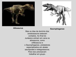 Mas os dias de domínio dos ceratossauros estavam contados. Ao final do Jurássico entram em cena os alossauros, como oAllosaurus e o Saurophaganax, predadores especializados em abater saurópodes e estegossauros. Para isso precisavam trabalhar em grupo. Allosaurus   Saurophaganax   