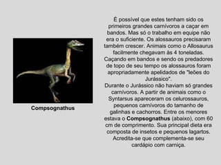 É possível que estes tenham sido os primeiros grandes carnívoros a caçar em bandos. Mas só o trabalho em equipe não era o suficiente. Os alossauros precisaram também crescer. Animais como o Allosaurus facilmente chegavam às 4 toneladas. Caçando em bandos e sendo os predadores de topo de seu tempo os alossauros foram apropriadamente apelidados de "leões do Jurássico". Durante o Jurássico não haviam só grandes carnívoros. A partir de animais como o Syntarsus apareceram os celurossauros, pequenos carnívoros do tamanho de galinhas e cachorros. Entre os menores estava o  Compsognathus  (abaixo), com 60 cm de comprimento. Sua principal dieta era composta de insetos e pequenos lagartos. Acredita-se que complementa-se seu cardápio com carniça. Compsognathus 