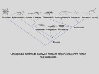Cladograma mostrando possíveis relações filogenéticas entre répteis não sinápsidos. 