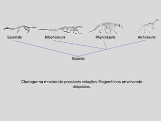 Cladograma mostrando possíveis relações filogenéticas envolvendo diápsidos. 