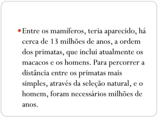  Entre os mamíferos, teria aparecido, há

cerca de 13 milhões de anos, a ordem
dos primatas, que inclui atualmente os
macacos e os homens. Para percorrer a
distância entre os primatas mais
simples, através da seleção natural, e o
homem, foram necessários milhões de
anos.

 