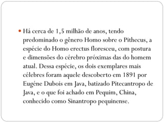  Há cerca de 1,5 milhão de anos, tendo

predominado o gênero Homo sobre o Pithecus, a
espécie do Homo erectus floresceu, com postura
e dimensões do cérebro próximas das do homem
atual. Dessa espécie, os dois exemplares mais
célebres foram aquele descoberto em 1891 por
Eugéne Dubois em Java, batizado Pitecantropo de
Java, e o que foi achado em Pequim, China,
conhecido como Sinantropo pequinense.

 