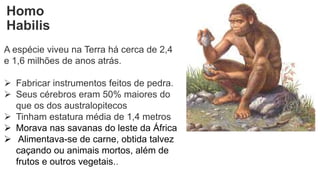 Homo
Habilis
A espécie viveu na Terra há cerca de 2,4
e 1,6 milhões de anos atrás.
 Fabricar instrumentos feitos de pedra.
 Seus cérebros eram 50% maiores do
que os dos australopitecos
 Tinham estatura média de 1,4 metros
 Morava nas savanas do leste da África
 Alimentava-se de carne, obtida talvez
caçando ou animais mortos, além de
frutos e outros vegetais..
 