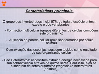 Características principais  O grupo dos invertebrados inclui 97% de toda a espécie animal, exceto o dos vertebrados. - Formação multicelular (grupos diferentes de células compõem este organismo) Ausência de parede celular (pois são formados por célula animal) Com exceção das esponjas, possuem tecidos como resultado de sua organização celular - São Heterótrofos: necessitam extrair a energia necessária para sua sobrevivência através de outros seres. Para isso, eles se alimentam de seres autótrofos (vegetais) e heterótrofos (animais).  