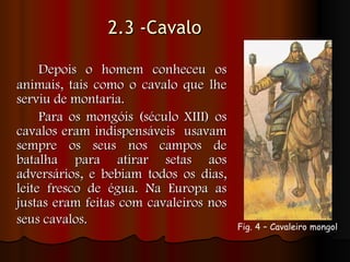 2.3 -Cavalo  Depois o homem conheceu os animais, tais como o cavalo que lhe serviu de montaria. Para os mongóis (século XIII) os cavalos eram indispensáveis  usavam sempre os seus nos campos de batalha para atirar setas aos adversários, e bebiam todos os dias, leite fresco de égua. Na Europa as justas eram feitas com cavaleiros nos seus cavalos.   Fig. 4 – Cavaleiro mongol   