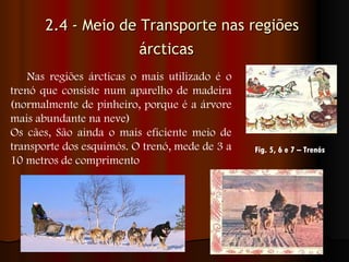 2.4 - Meio de Transporte nas regiões árcticas             Nas regiões árcticas o mais utilizado é o trenó que consiste num aparelho de madeira (normalmente de pinheiro, porque é a árvore mais abundante na neve)      Os cães, São ainda o mais eficiente meio de transporte dos esquimós. O trenó, mede de 3 a 10 metros de comprimento  Fig. 5, 6 e 7 – Trenós   
