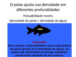 O peixe ajusta sua densidade em
diferentes profundidades
Flutuabilidade neutra
(densidade do peixe = densidade da água)
 