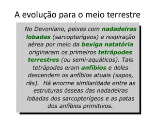 A evolução para o meio terrestre
 