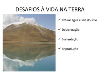 DESAFIOS À VIDA NA TERRA 
 Retirar água e sais do solo 
 Desidratação 
 Sustentação 
 Reprodução 
 