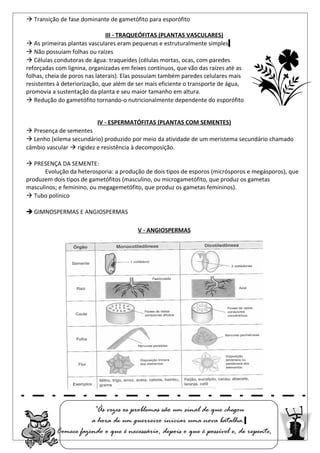  Transição de fase dominante de gametófito para esporófito
III - TRAQUEÓFITAS (PLANTAS VASCULARES)
 As primeiras plantas vasculares eram pequenas e estruturalmente simples
 Não possuíam folhas ou raízes
 Células condutoras de água: traqueídes (células mortas, ocas, com paredes
reforçadas com lignina, organizadas em feixes contínuos, que vão das raízes até as
folhas, cheia de poros nas laterais). Elas possuíam também paredes celulares mais
resistentes à deteriorização, que além de ser mais eficiente o transporte de água,
promovia a sustentação da planta e seu maior tamanho em altura.
 Redução do gametófito tornando-o nutricionalmente dependente do esporófito
IV - ESPERMATÓFITAS (PLANTAS COM SEMENTES)
 Presença de sementes
 Lenho (xilema secundário) produzido por meio da atividade de um meristema secundário chamado
câmbio vascular  rigidez e resistência à decomposição.
 PRESENÇA DA SEMENTE:
Evolução da heterosporia: a produção de dois tipos de esporos (micrósporos e megásporos), que
produzem dois tipos de gametófitos (masculino, ou microgametófito, que produz os gametas
masculinos; e feminino, ou megagemetófito, que produz os gametas femininos).
 Tubo polínico
 GIMNOSPERMAS E ANGIOSPERMAS
V - ANGIOSPERMAS
“Às vezes os problemas são um sinal de que chegou
a hora de um guerreiro iniciar uma nova batalha.
Comece fazendo o que é necessário, depois o que é possível e, de repente,
 