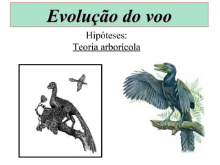 Hipóteses:
Teoria arborícola
Evolução do vooEvolução do voo
 
