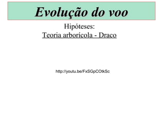Hipóteses:
Teoria arborícola - Draco
Evolução do vooEvolução do voo
http://youtu.be/FxSGpCOtkSc
 