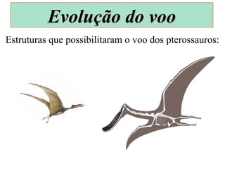 Estruturas que possibilitaram o voo dos pterossauros:
Evolução do vooEvolução do voo
 