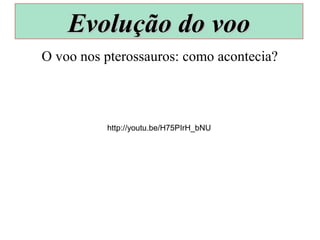 O voo nos pterossauros: como acontecia?
Evolução do vooEvolução do voo
http://youtu.be/H75PIrH_bNU
 