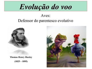 Defensor do parentesco evolutivo
Thomas Henry Huxley
(1825 – 1895)
Aves:
Evolução do vooEvolução do voo
 