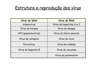 Estrutura e reprodução dos vírus Vírus de DNA Vírus de RNA Adenovírus Vírus da hepatites A e C Vírus da herpes Vírus da dengue HPV (papilomavírus) Vírus da febre amarela Vírus da catapora Vírus da raiva Parvovírus Vírus da rubéola Vírus da hepatite B Vírus da caxumba Vírus da poliomielite 