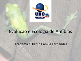Evolução e Ecologia de Anfíbios
Acadêmica: Katlin Camila Fernandes
 