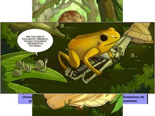 Ordem Anura
• Adaptação ao ambiente
terrestre: tegumento;
• Lissamphibia = pele lisa;
• Glândulas no
tegumento;
• Respiração cutãnea;
• Toxicidade;
 