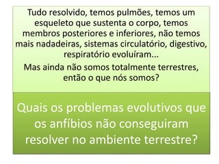 Quais os problemas evolutivos que
os anfíbios não conseguiram
resolver no ambiente terrestre?
Tudo resolvido, temos pulmões, temos um
esqueleto que sustenta o corpo, temos
membros posteriores e inferiores, não temos
mais nadadeiras, sistemas circulatório, digestivo,
respiratório evoluíram...
Mas ainda não somos totalmente terrestres,
então o que nós somos?
 