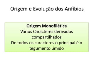 Origem e Evolução dos Anfíbios
Batrachia ou Lissamphibia
Salientia ou Anura
Origem Monofilética
Vários Caracteres derivados
compartilhados
De todos os caracteres o principal é o
tegumento úmido
 