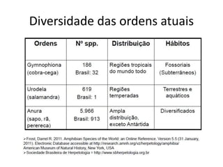 Diversidade das ordens atuais
 