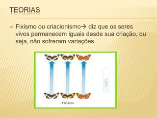 TEORIAS 
 Fixismo ou criacionismo diz que os seres 
vivos permanecem iguais desde sua criação, ou 
seja, não sofreram variações. 
 