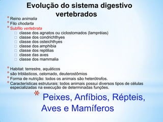 * Peixes, Anfíbios, Répteis,
Aves e Mamíferos
*Reino animalia
*Filo chodarta
*Subfilo vertebrata
 classe dos agnatos ou ciclostomados (lampréias)
 classe dos condrichthyes
 classe dos osteichthyes
 classe dos amphibia
 classe dos reptilias
 classe das aves
 classe dos mammalia
*Habitat: terrestre, aquáticos
*são triblásticos, celomado, deuterostômios
*Forma de nutrição: todos os animais são heterótrofos.
*Características estruturais: todos animais possui diversos tipos de células
especializadas na execução de determinadas funções.
Evolução do sistema digestivo
vertebrados
 