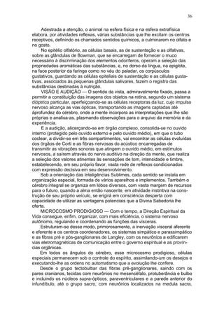 36

     Adestrada a atenção, o animal na esfera física e na esfera extrafísica
elabora, por atividades reflexas, várias substâncias que lhe excitam os centros
receptivos, definindo os chamados sentidos químicos, a culminarem no olfato e
no gosto.
     No epitélio olfatório, as células basais, as de sustentação e as olfativas,
sobre as glândulas de Bowman, que se encarregam de fornecer o muco
necessário à discriminação dos elementos odoríferos, operam a seleção das
propriedades aromáticas das substâncias, e, no dorso da língua, na epiglote,
na face posterior da faringe como no véu do paladar, os corpúsculos
gustativos, guardando as células epiteliais de sustentação e as células gusta-
tivas, associados às pequenas glândulas salivares, fazem o registro das
substâncias destinadas à nutrição.
     VISÃO E AUDIÇÃO — O sentido da vista, admiravelmente fixado, passa a
permitir a constituição das imagens dos objetos na retina, segundo um sistema
dióptrico particular, aperfeiçoando-se as células receptoras da luz, cujo impulso
nervoso alcança as vias ópticas, transportando as imagens captadas até
àprofundez do cérebro, onde a mente incorpora as interpretações que lhe são
próprias e analisa-as, plasmando observações para o arquivo da memória e da
experiência.
     E a audição, alicerçando-se em órgão complexo, consolida-se no ouvido
interno (protegido pelo ouvido externo e pelo ouvido médio), em que o tubo
coclear, a dividir-se em três compartimentos, vai encontrar as células evoluídas
dos órgãos de Corti e as fibras nervosas do acústico encarregadas de
transmitir as vibrações sonoras que atingem o ouvido médio, em estímulos
nervosos, a saírem através do nervo auditivo na direção da mente, que realiza
a seleção dos valores atinentes às sensações de tom, intensidade e timbre,
estabelecendo, em seu próprio favor, vasta rede de reflexos condicionados
com expressão decisiva em seu desenvolvimento.
     Sob a orientação das Inteligências Sublimes, cada sentido se instala em
organização especial, formada de vários aparelhos e implementos. Também o
cérebro integral se organiza em lóbos diversos, com vasta margem de recursos
para o futuro, quando a alma então nascente, em atividade instintiva na cons-
trução de seu próprio veículo, se erigirá em consciência desperta com
capacidade de utilizar as vantagens potenciais que a Divina Sabedoria lhe
oferta.
     MICROCOSMO PRODIGIOSO — Com o tempo, a Direção Espiritual da
Vida consegue, enfim, organizar, com mais eficiência, o sistema nervoso
autônomo, regulando e coordenando as funções das vísceras.
     Estruturam-se desse modo, primorosamente, a inervação visceral aferente
e eferente e os centros coordenadores, os sistemas simpático e parassimpático
e as fibras pré e pós-ganglionares de Langley, com os neurônios a edificarem
vias eletromagnéticas de comunicação entre o governo espiritual e as provín-
cias orgânicas.
     Em todos os ângulos do cérebro, esse microcosmo prodigioso, células
especiais permanecem sob o controle do espírito, assimilando-um os desejos e
executando-lhe as ordens no automatismo que a evolução lhe confere.
     Desde o grupo tectobulbar das fibras prê-ganglionares, saindo com os
pares cranianos, tecidas com neurônios no mesencéfalo, protuberância e bulbo
e incluindo os núcleos supra-ópticos, paraventriculares e a parede anterior do
infundíbulo, até o grupo sacro, com neurônios localizados na medula sacra,
 
