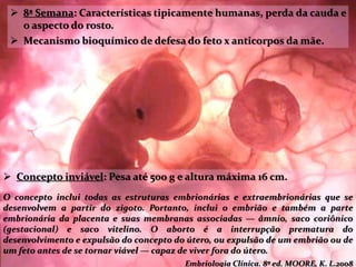  8ª Semana: Características tipicamente humanas, perda da cauda e
o aspecto do rosto.
 Mecanismo bioquímico de defesa do feto x anticorpos da mãe.
 Concepto inviável: Pesa até 500 g e altura máxima 16 cm.
O concepto inclui todas as estruturas embrionárias e extraembrionárias que se
desenvolvem a partir do zigoto. Portanto, inclui o embrião e também a parte
embrionária da placenta e suas membranas associadas — âmnio, saco coriônico
(gestacional) e saco vitelino. O aborto é a interrupção prematura do
desenvolvimento e expulsão do concepto do útero, ou expulsão de um embrião ou de
um feto antes de se tornar viável — capaz de viver fora do útero.
Embriologia Clínica. 8ª ed. MOORE, K. L.2008
 