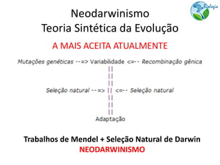 Neodarwinismo
    Teoria Sintética da Evolução
       A MAIS ACEITA ATUALMENTE




Trabalhos de Mendel + Seleção Natural de Darwin
              NEODARWINISMO
 