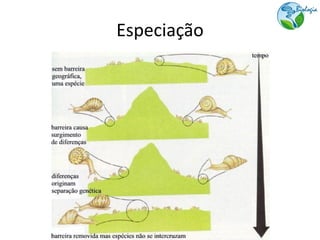 Especiação
 