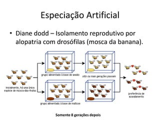Especiação Artificial
• Diane dodd – Isolamento reprodutivo por
  alopatria com drosófilas (mosca da banana).




               Somente 8 gerações depois
 