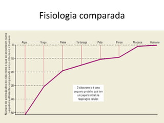 Fisiologia comparada
 