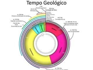 Tempo Geológico
 