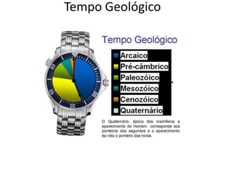 Tempo Geológico
 