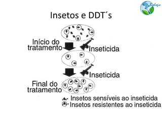 Insetos e DDT´s
 