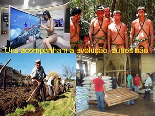 Uns acompanham a evolução, outros não.
 