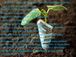 Para uma sementeira ser bem sucedida é preciso:
Saber o que queremos semear.
Escolher o sitio mais adequado.
Saber qual a altura do ano indicada.
Preparar o terreno, lavrar e fertilizar a terra.
Lançar as semente á terra.
Certificar-se se as sementes ficam todas cobertas.
Vigiá-las, cuida-las, rega-las, arrancar as ervas daninhas.
Tratá-la e acompanhar toda a evolução.
Se formos bem sucedidos e as sementes florescerem e
frutificarem, nós podemos então colher os frutos.
Mas se nós não cumprirmos todos estes requisitos poderá
acontecer que as forças da natureza trabalhem a nosso favor
mas é muito improvável que o resultado seja o desejado.
Se não formos persistentes e desistirmos a meio nunca
colheremos os frutos.
 