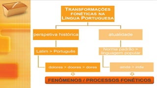 Evolução Fonética