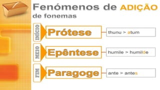 Evolução Fonética