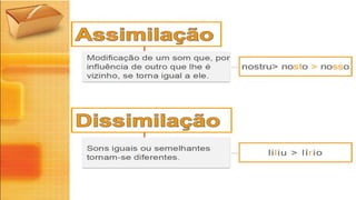 Evolução Fonética