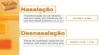 Evolução Fonética