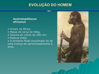 EVOLUÇÃO DO HOMEM Australopithecus africanus   Viviam na África. Massa de cerca de 40kg. Volume do crânio de 440 cm 3 . Postura ereta. O primeiro fóssil encontrado foi de uma criança de aproximadamente 6 anos. 