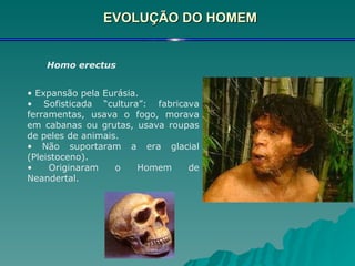 EVOLUÇÃO DO HOMEM Homo erectus   Expansão pela Eurásia. Sofisticada “cultura”: fabricava ferramentas, usava o fogo, morava em cabanas ou grutas, usava roupas de peles de animais. Não suportaram a era glacial (Pleistoceno). Originaram o Homem de Neandertal. 