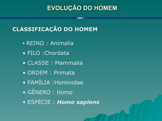 EVOLUÇÃO DO HOMEM CLASSIFICAÇÃO DO HOMEM REINO : Animalia FILO :Chordata CLASSE : Mammalia ORDEM : Primata FAMÍLIA :Hominidae GÊNERO : Homo ESPÉCIE :  Homo sapiens 