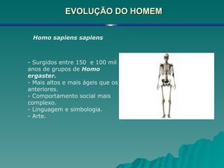 EVOLUÇÃO DO HOMEM Homo sapiens sapiens   - Surgidos entre 150  e 100 mil anos de grupos de  Homo ergaster. - Mais altos e mais ágeis que os anteriores. - Comportamento social mais complexo. - Linguagem e simbologia. - Arte. 
